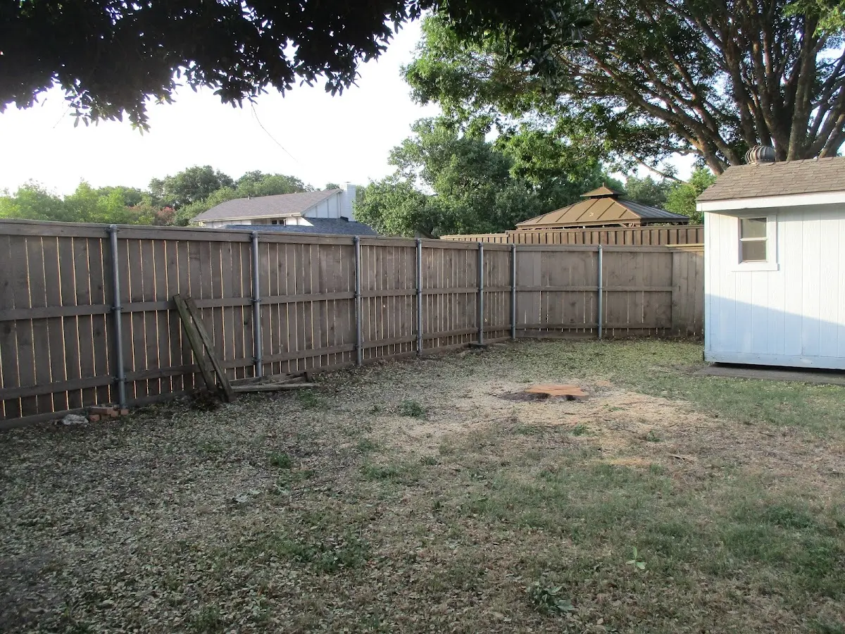 Cleared yard after professional tree removal in Stanwood