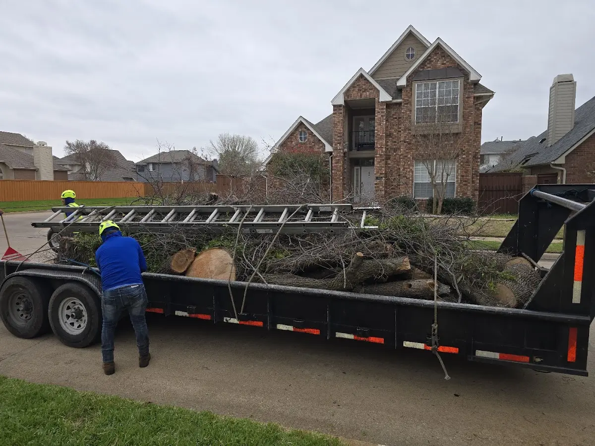 Expert Tree Pest Control with proper safety equipment in Stanwood